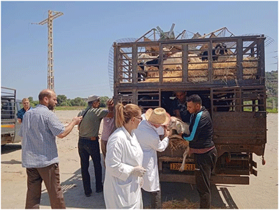 في إطار الدعم بجيجل: توزيع عتاد و رؤوس ماعز على فلاحين بعدة مناطق