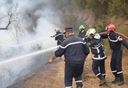 تسخير طائرات إطفاء و آلاف من أعوان الحماية والاستعانة بفرق المراقبة الميدانية:  اسـتـنــفــار حــكــومــي لمــواجــهــة حــرائــق الصــيــف