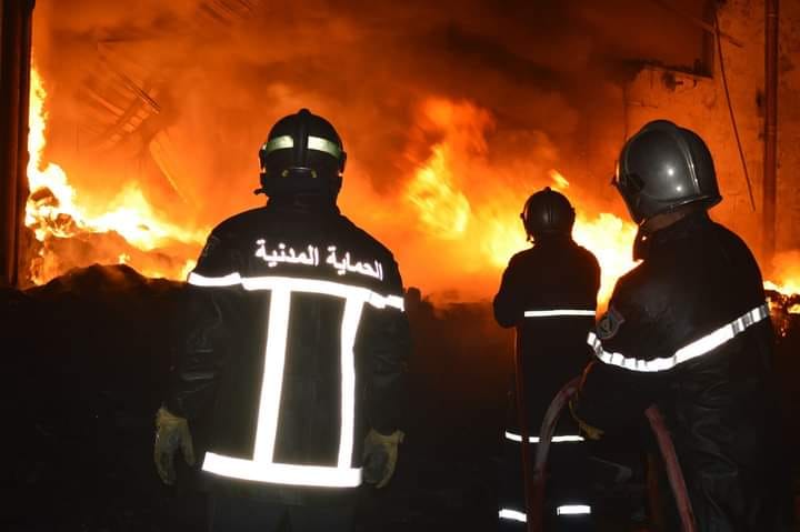 حماية مدنية: إخماد معظم حرائق الغابات بعدة ولايات من الوطن 