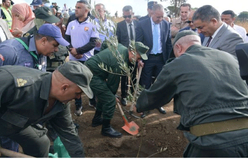 احتفالا باليوم الوطني للشجرة: غرس 4500 صنف من الأشجار لتدعيم الغطاء النباتي 