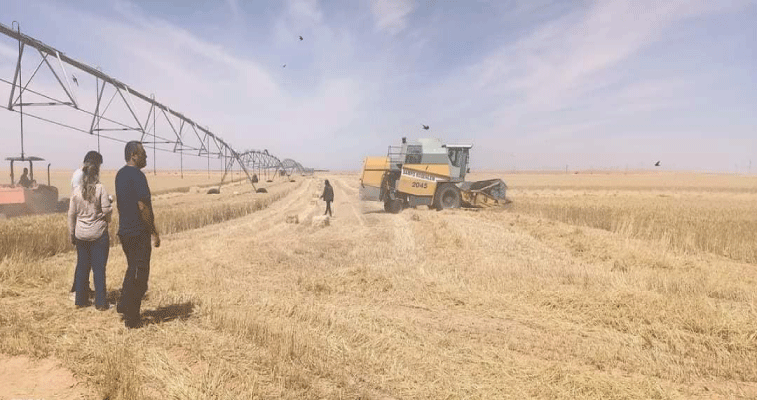 وزير الفلاحة والتنمية الريفية يوسف شرفة يؤكد: القطاع الفلاحي يشهد إقبالا من طرف المتعاملين الاقتصاديين