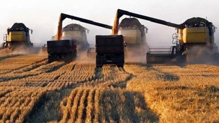 الجزائر/إيطاليا : التوقيع على اتفاقية لإنتاج الحبوب والبقوليات بتيميمون