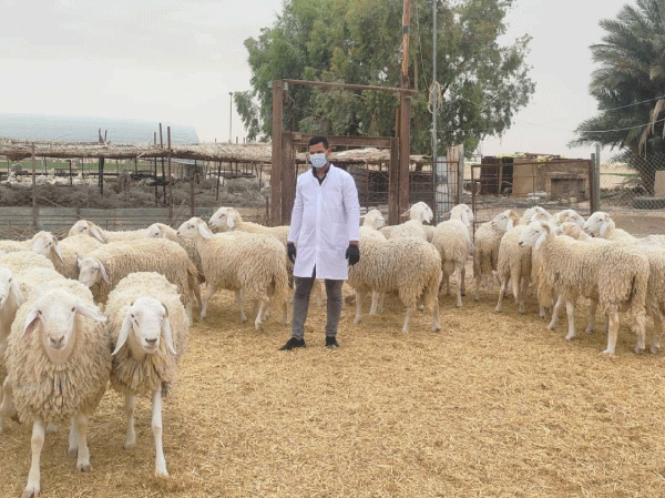 مفتشية البيطرة بالوادي: تشديد إجراءات الوقاية من حمى اللسان الأزرق 