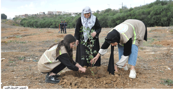 الإجراءات الوقائية حالت دون تسجيل حرائق كبيرة بالغابات: غـرس أزيـد من 21 ألـف شجـرة موزعـة على 119 موقـعا بقسنطينـة