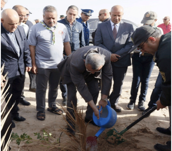 بمناسبة اليوم الوطني للشجرة: حملة لغرس نحو 45 ألف شجرة بالوادي