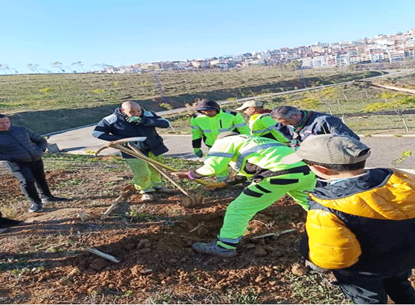 قسنطينة: غرس 300 شجرة بحظيرة منتزه الياسمين